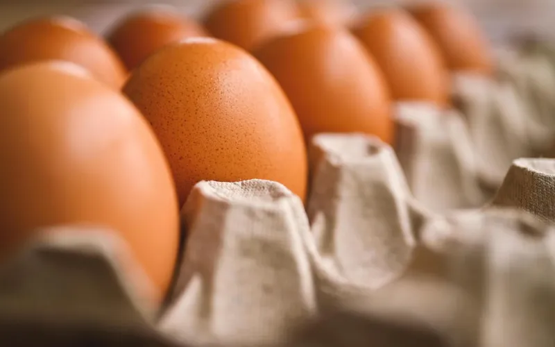 Ägg i en äggkartong