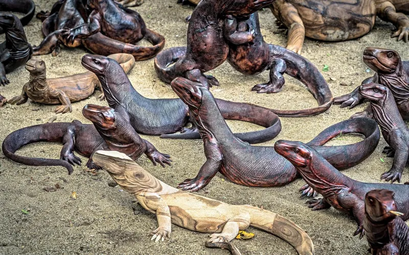 Flera komodovaraner